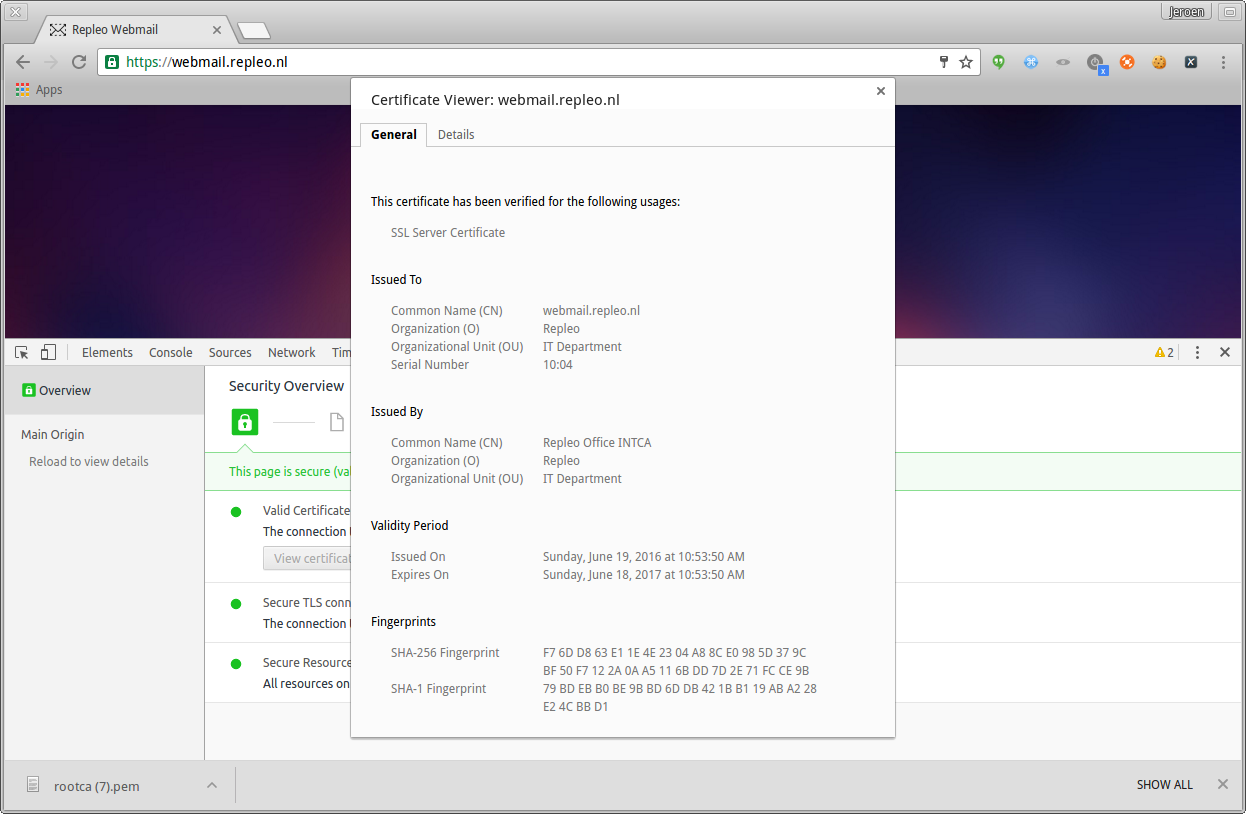 Chrome visit self-signed website and verify it is trusted